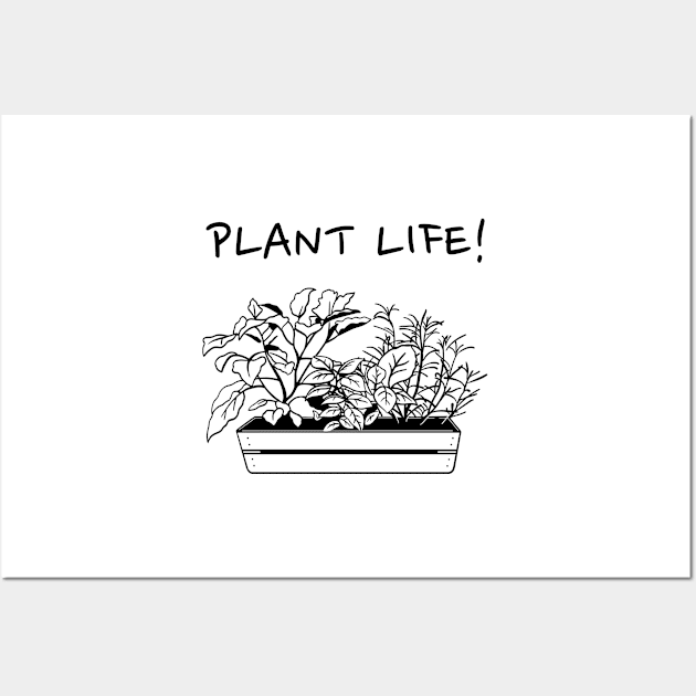 Plant Life! Wall Art by barn-of-nature